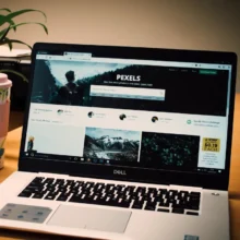 WordPress Development