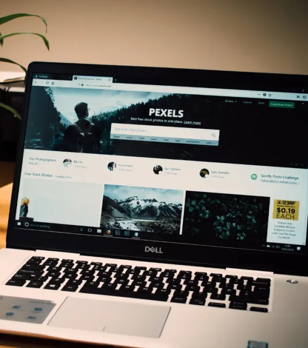 WordPress Development