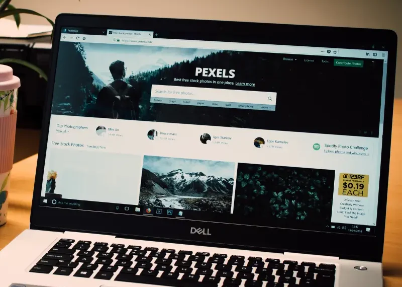 WordPress Development